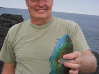 big-island-048