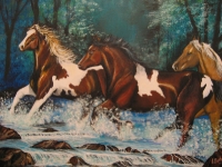 horse-run