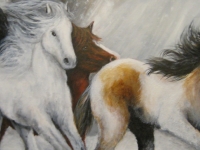 wild_horses_web_med
