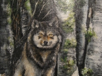 wolf_web_med